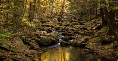 2013-Catskills (1 of 1)